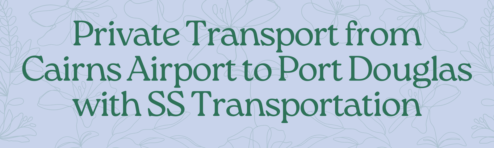 Read more about the article Private Transport from Cairns Airport to Port Douglas with SS Transportation
