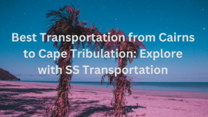 Read more about the article Best Transportation from Cairns to Cape Tribulation: Explore with SS Transportation