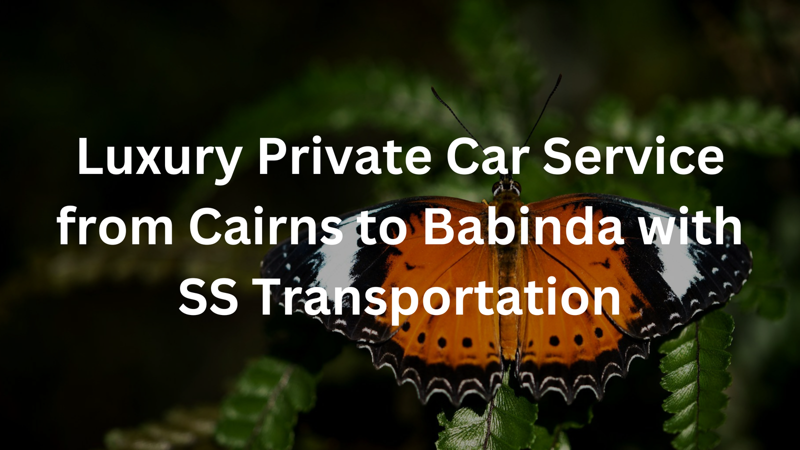Read more about the article Premium Private Car Service from Cairns to Babinda with SS Transportation