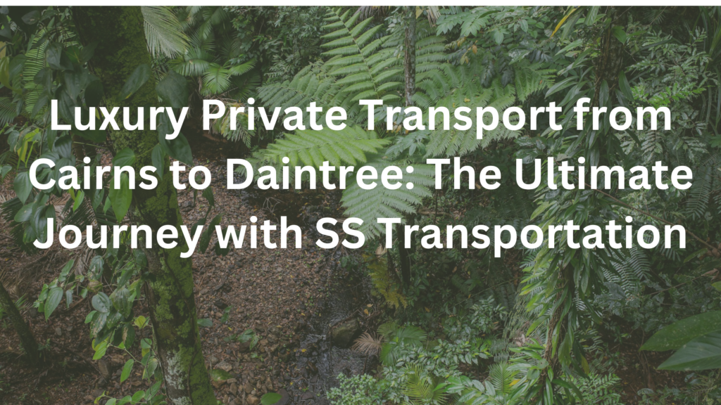 Luxury-Private-Transport-from-Cairns-to-Daintree:The-Ultimate-Journey-with-SS-Transportation