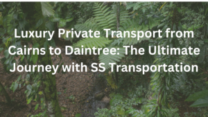 Read more about the article Luxury Private Transport from Cairns to Daintree: The Ultimate Journey with SS Transportation