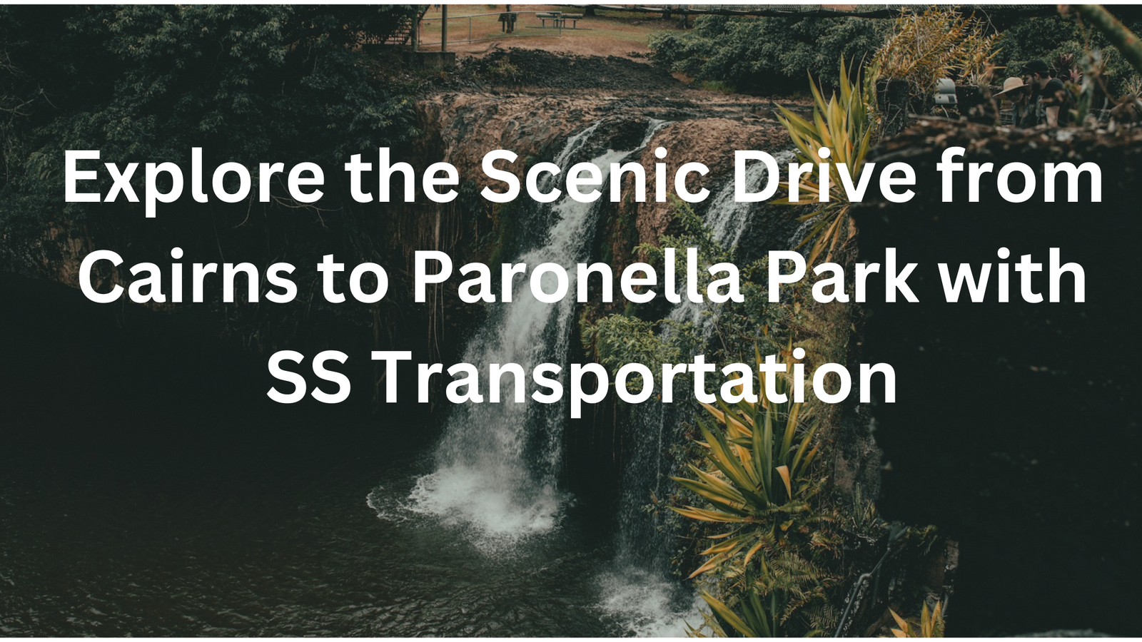 Read more about the article Explore the Scenic Drive from Cairns to Paronella Park with SS Transportation