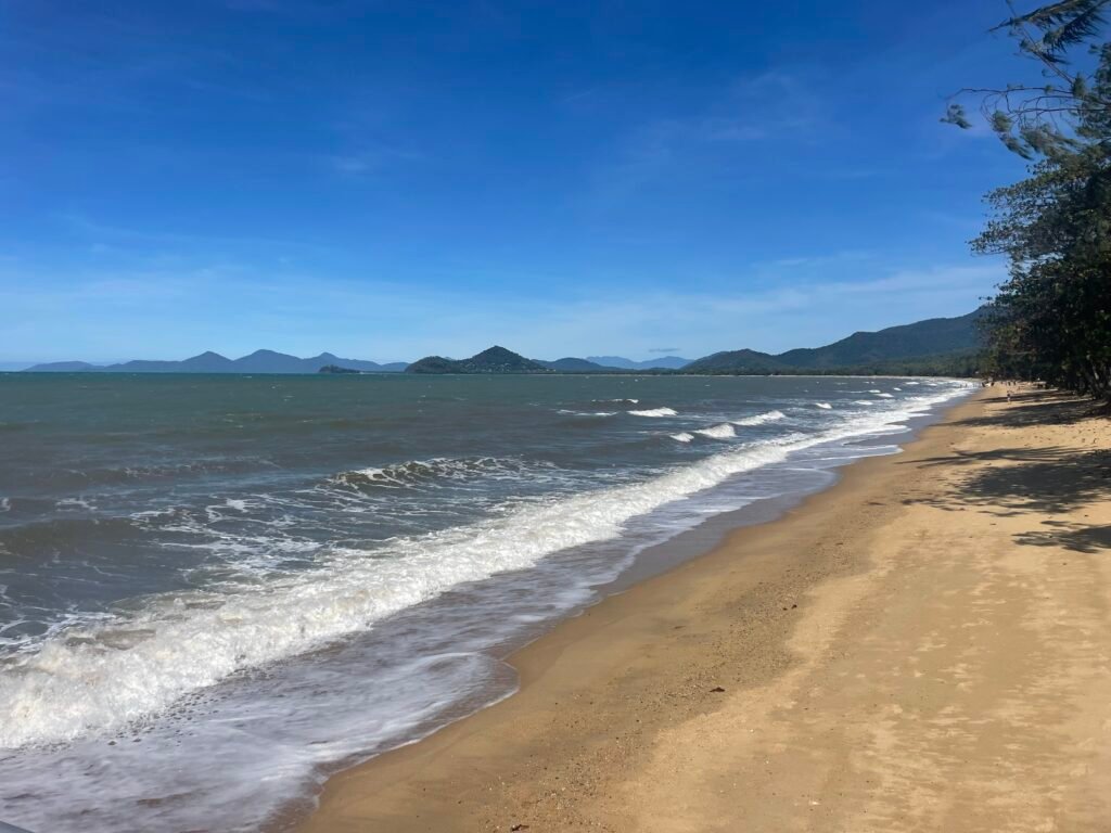 Palm Cove Transfers